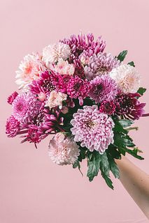 たっぷりピンクラズベリーマム