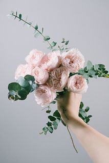 高級ローズ「アンティークウェディング」