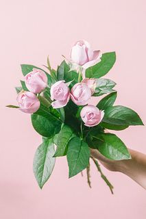 増田バラ園の香りバラ「モーヴギモーヴ」