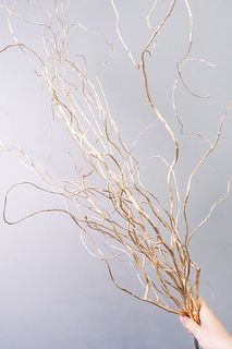 【先行販売】ゴールドの雲龍柳（ロングサイズ）