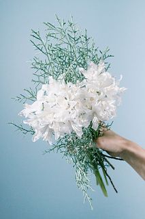 星咲く花「ダイヤモンドリリー」