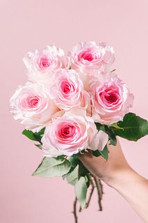 大輪バラ「マンダラ」