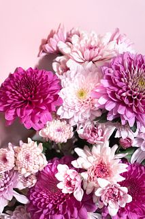 おまかせピンクラズベリーマム