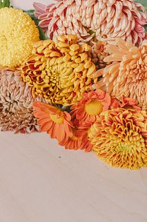 ハニーマロンマムMIX