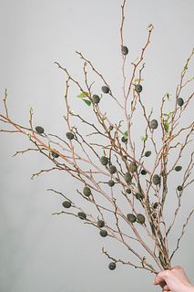 ヤシャの実（ロングサイズ）