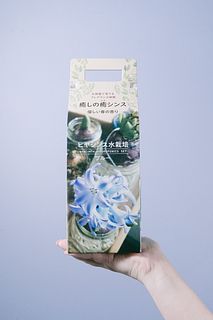 水栽培キット「おまかせヒヤシンス」