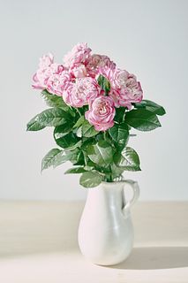 【産直】極上の香り！「パリス」