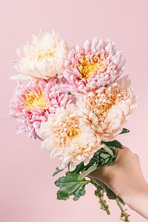 マム「シルキーガールとエポック」