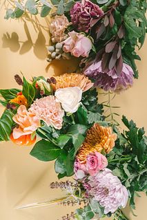 わんぱくセット！【秋限定10％OFF】(3束)