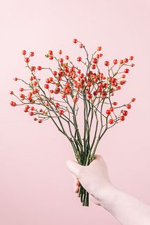 野バラの実（ショートサイズ）