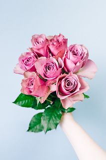 バラ「アヴニール」