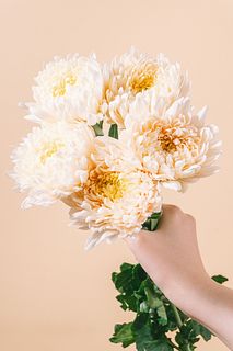 マム「シルキーガール」