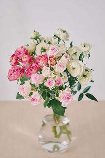 【産直】梶農園のおまかせスプレーバラミックス