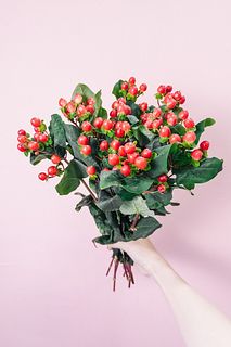 ストロベリーヒペリカム