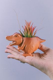 ティラノサウルスとチランジア「イオナンタ フエゴ」