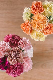 【2BUY10%OFF】ベリーとシトラスのよくばりカーネーション（14本）