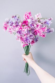 恋詩かすみのスイートピー