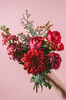 冬の足音「ホリデールージュ」