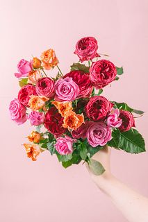 たっぷり！浅野園芸の希少品種ローズ