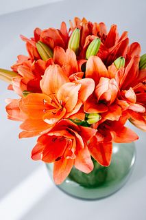 【産直】今井ゆり園の「プラパズ」