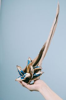 タビビトノキ（Mサイズ）