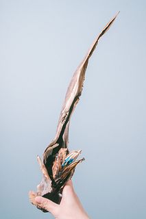 タビビトノキ（SSサイズ）