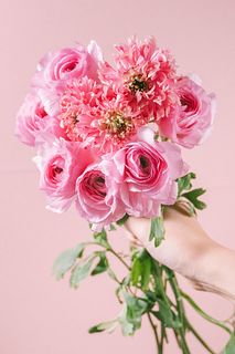 メロウピンクのラナンキュラス