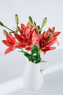 【産直】今井ゆり園のクリスマスリリー