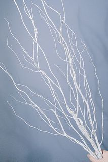 冬のインテリアに「ラメ付きホワイトヤナギ」