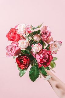 ラズベリーローズ