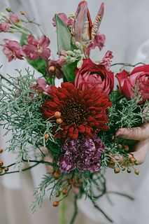 冬の足音「ホリデールージュ」