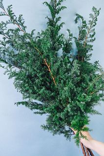 花器に飾るクリスマスツリー