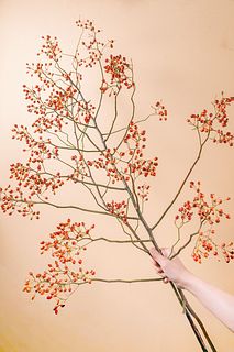 赤く色づくのばらの実（ロングサイズ）