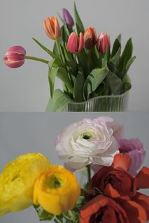 【2BUY10%OFF】チューリップとラナンキュラス