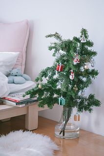 大きなモミの木