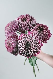 マム「クチュール」