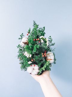 小さなクリスマスツリーキット