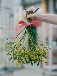 幸運を呼ぶヤドリギのスワッグ