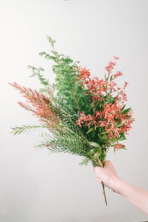 希少！クリスマスブッシュのスワッグ