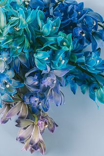 寒色系シンビジウム（2本セット）