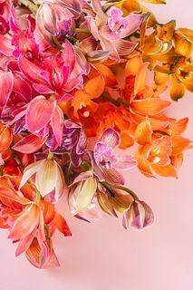 暖色系シンビジウム（2本セット）