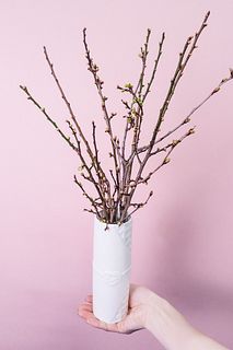 【先行販売】甘く香る梅の花（花器セット)