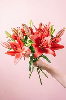 真っ赤なルージュリリー