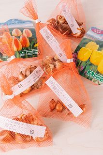 【産直】たっぷり7種類！球根福袋