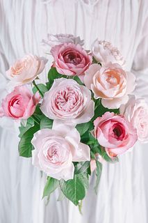 【産直】梶農園のおまかせフレグランスローズ