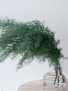 秋葉さんのブルーアイス（ロングサイズ）