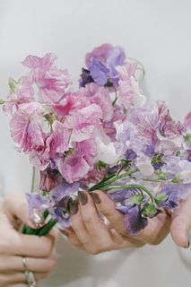 恋詩かすみのスイートピー