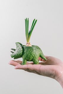 トリケラトプスとムスカリ