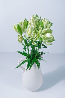 【産直】今井ゆり園のミステリードリーム