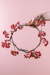 【12月のお買い得】サンキライのリース